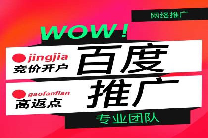 百度竞价公司案例分析：提升转化率的策略